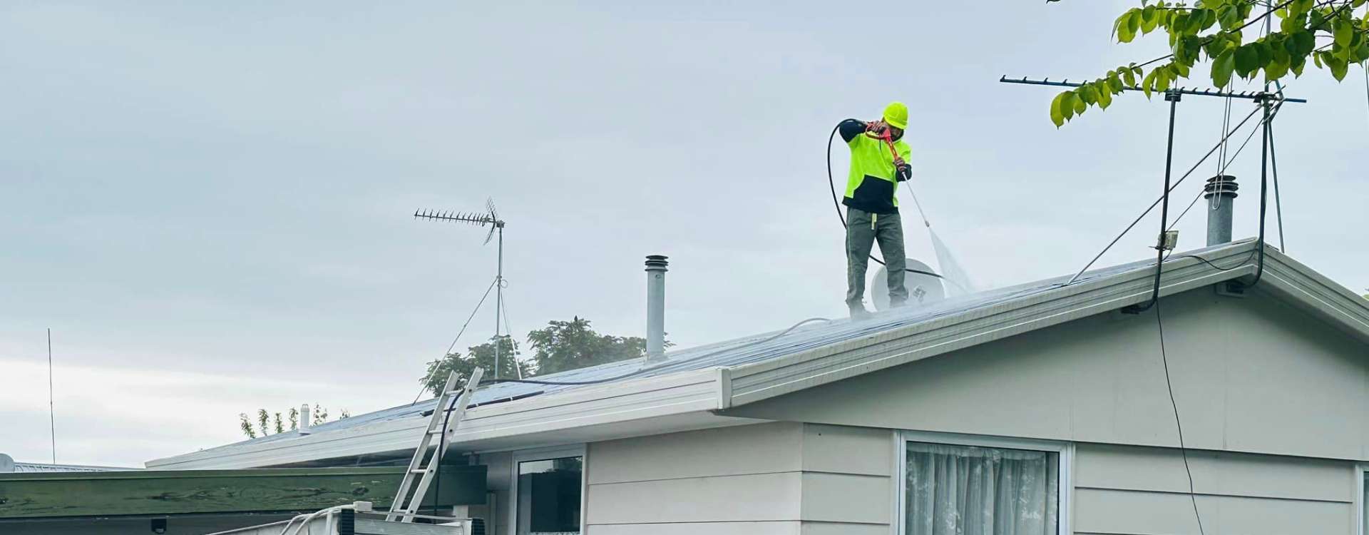 property maintenance hamilton nz