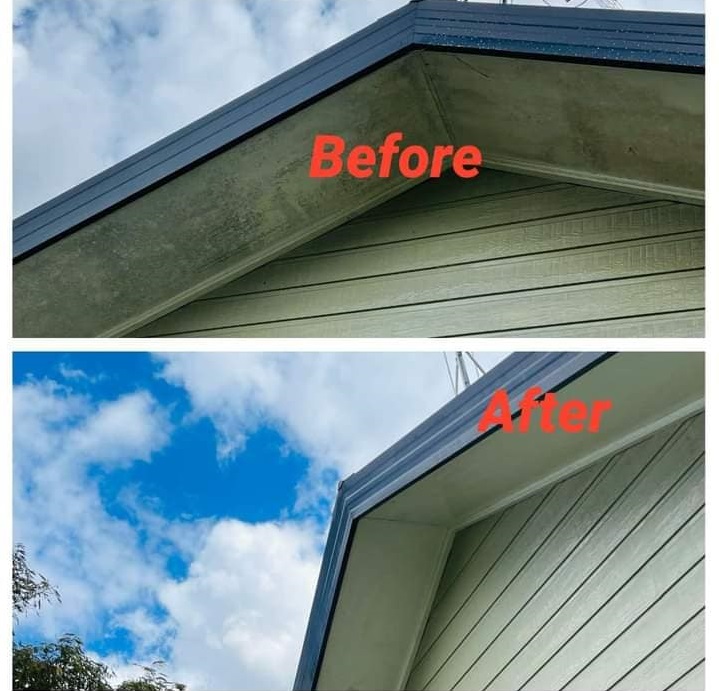 roof cleaning hamilton nz
