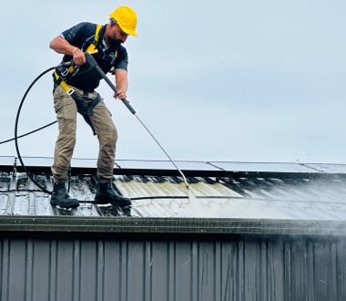 Roof moss treatment image