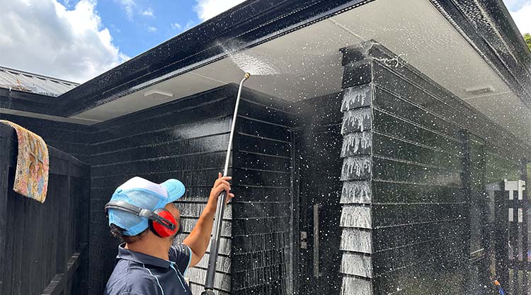 House Wash Hamilton