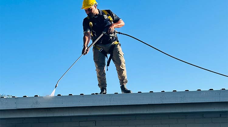 Gutter Cleaning Hamilton